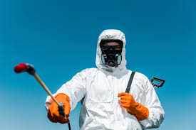 Best Fumigation Services  in Issaquah, WA